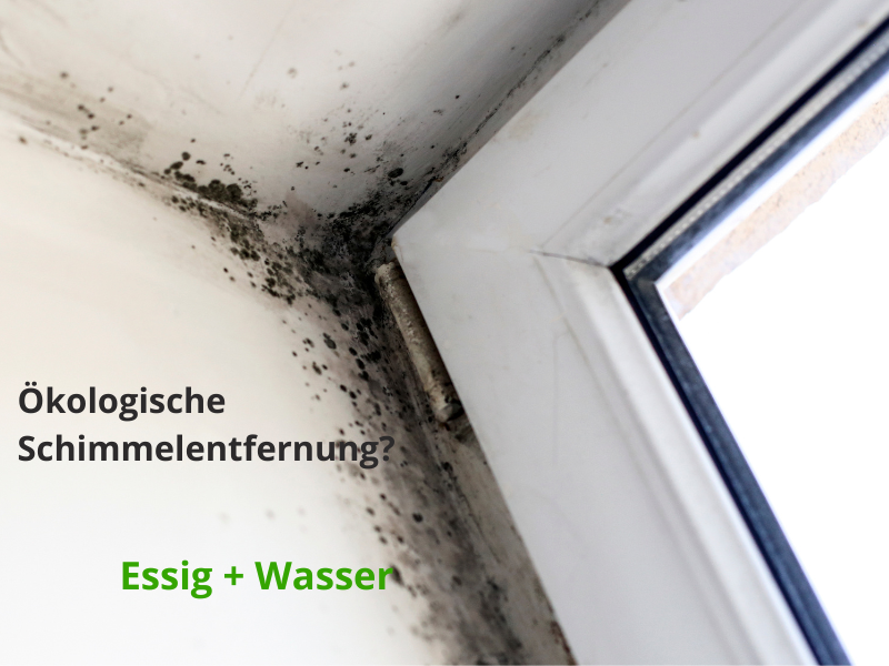 Was tun bei Schimmel in Kunststofffenstern? fenstersofort.de