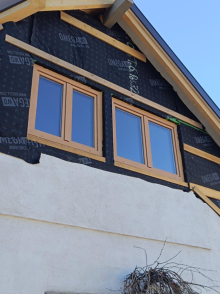 Fenster in Birkenholzimitation Dekor