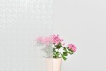Transparente Statische Folie -Rauchfolie (S6725)